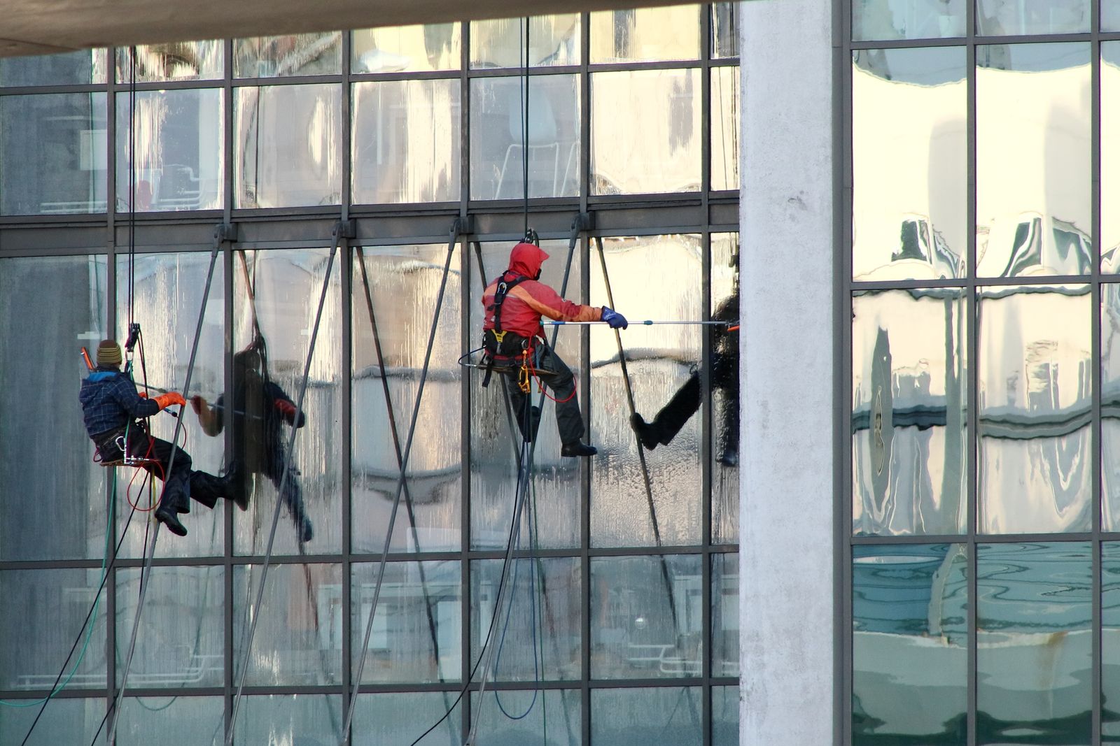 Professional window cleaners working on a multi-story building exterior