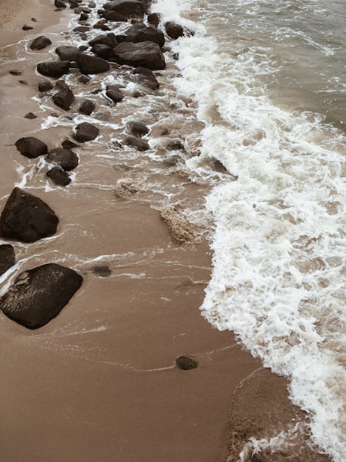 Foto profissional grátis de água, areia, espuma