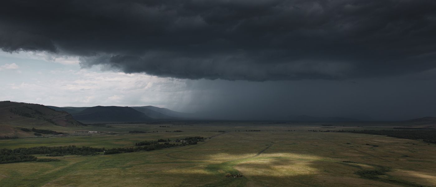 Livestock Insurance and Natural Disaster Risk: Ensuring Cyclone & Flood Protection
