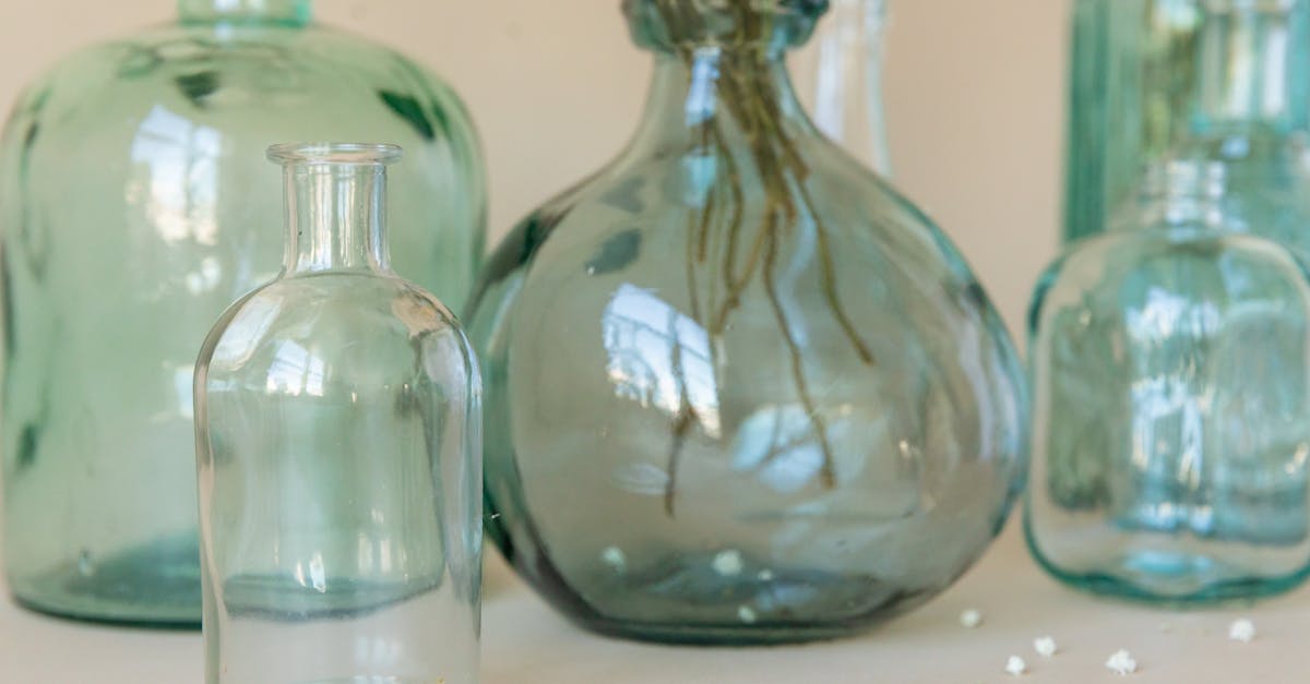 What is translucent mean in science