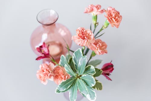 無料 ガラス花瓶, フラワーアレンジメント, フラワーズの無料の写真素材 写真素材