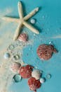 在碧绿色的表面上艺术展示贝壳和海星，非常适合海滩主题