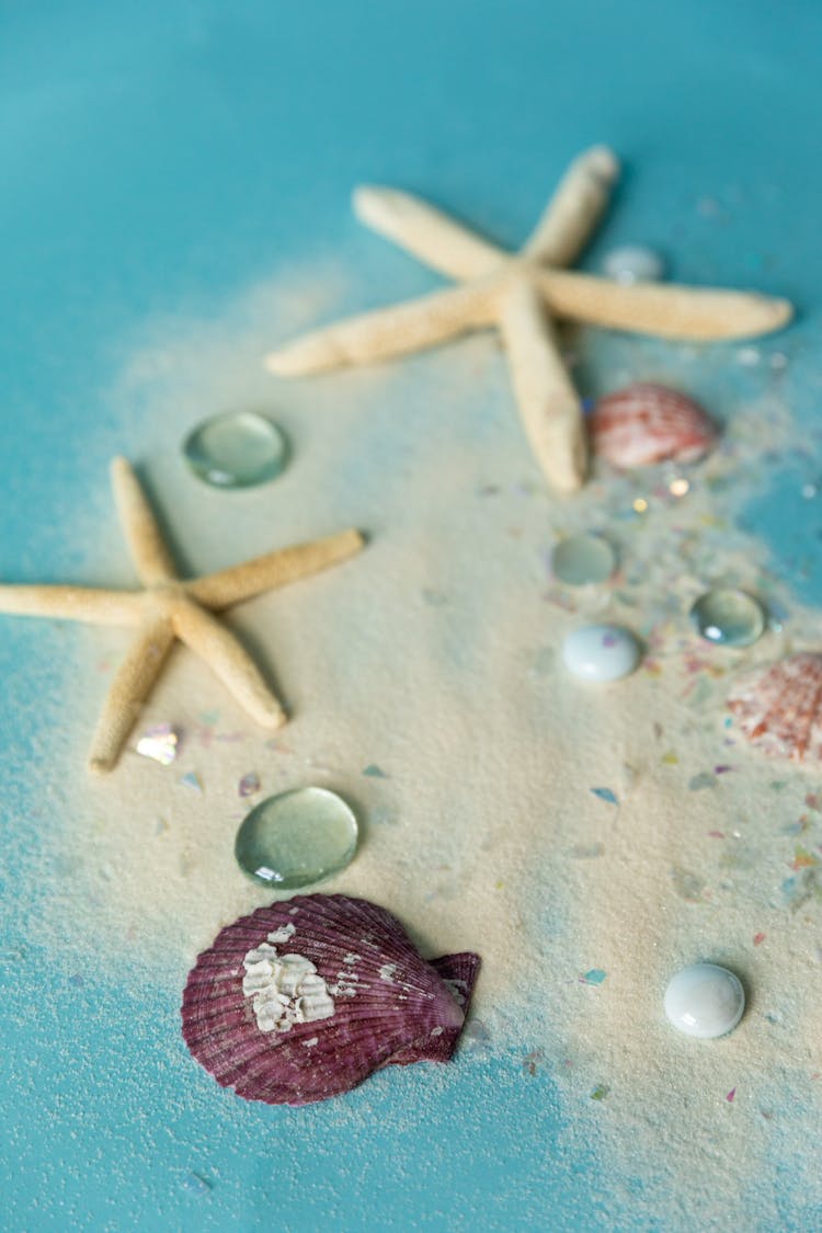 Shells And Starfish Over Blue Surface