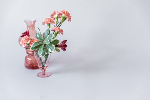 Pink and Red Flowers in Clear Glass Vase