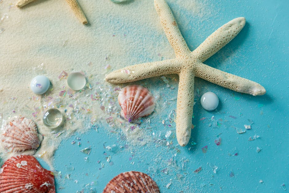 Close-up of a starfish and seashells on sandy, turquoise background.