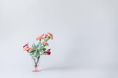 무료 copy space, 꽃, 꽃병의 무료 스톡 사진