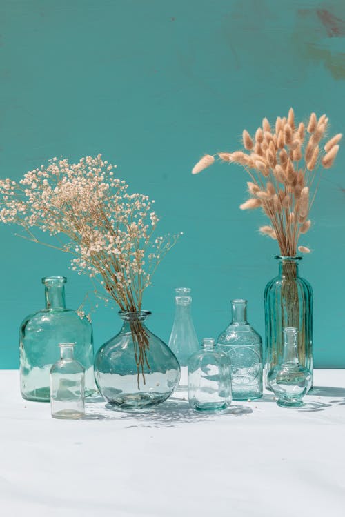 Free White and Brown Flowers in Clear Glass Bottles Stock Photo