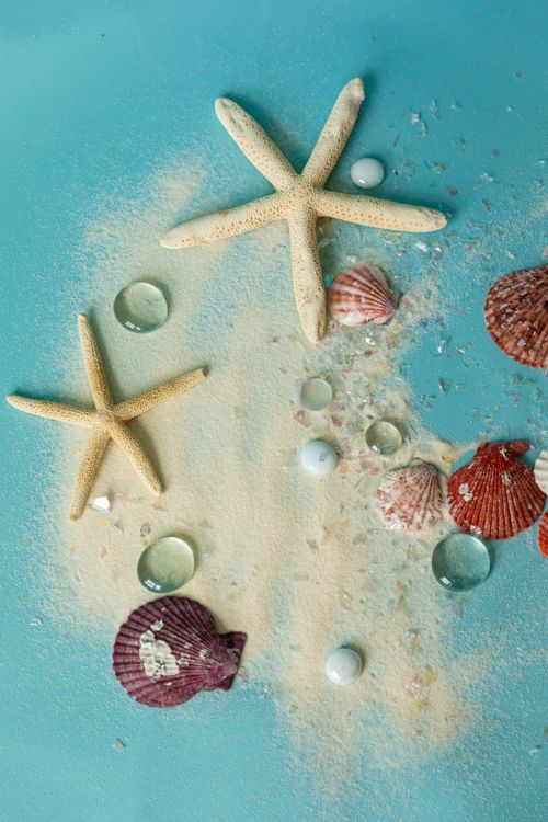 Free Top view of seashells and starfish arranged on a turquoise background with sand, evoking a marine theme. Stock Photo