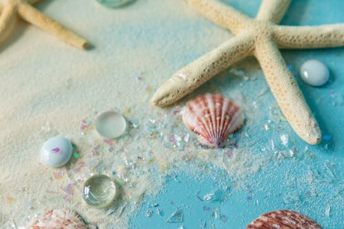 Starfish on White Sand over Blue Surface