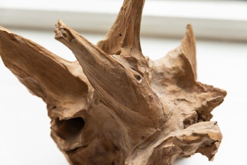 Free Detailed close-up of a wooden driftwood piece showcasing unique textures. Stock Photo