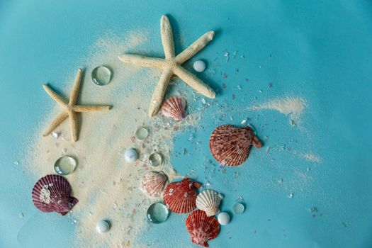 Starfish and seashells gracefully arranged on a blue sandy surface.