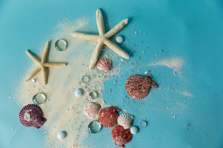 Starfish And Seashells On A Blue Surface 