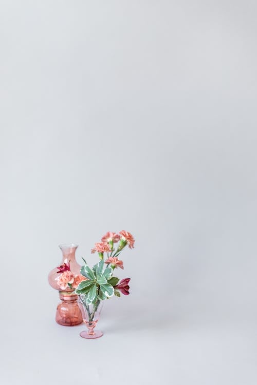 Free Pink Flowers with Green Leaves in the Vase Stock Photo