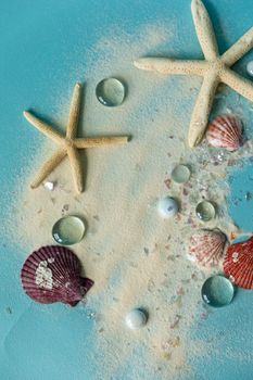 starfish photo