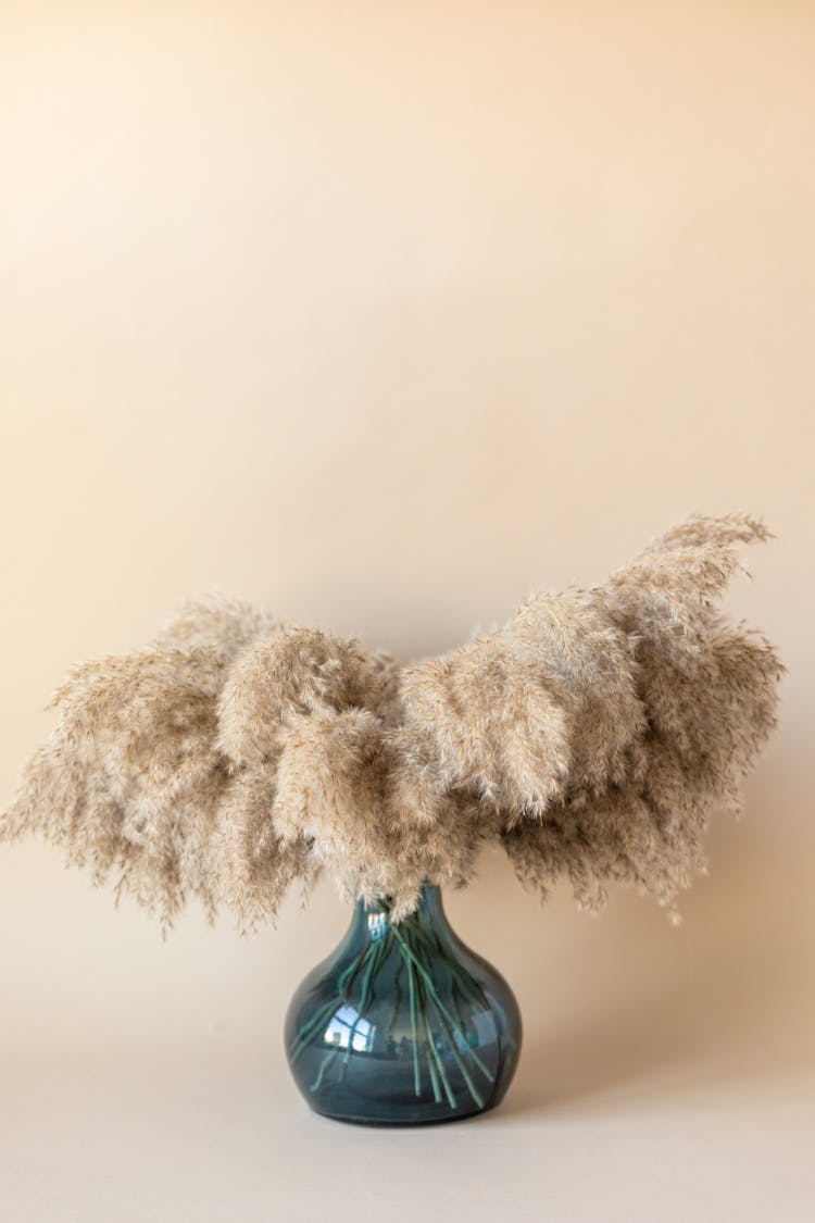 Common Reed In A Vase