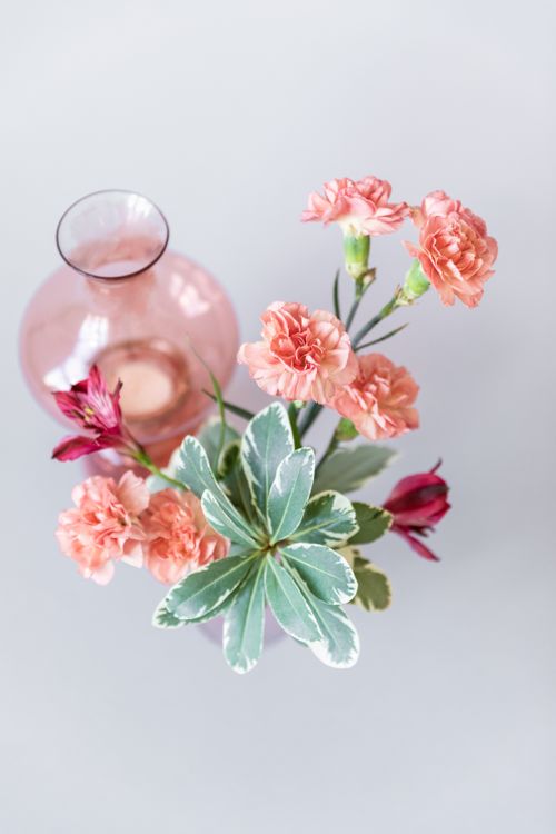 Free A beautiful floral arrangement with pink flowers in a delicate glass vase on a light background. Stock Photo