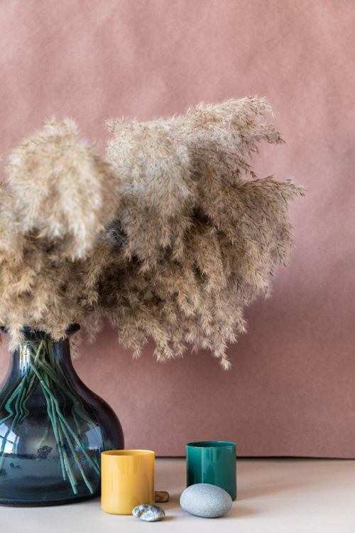 Free Minimalist still life of pampas grass in a vase with smooth stones on a pink background. Stock Photo