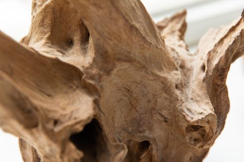 Free Detailed close-up view highlighting the texture of natural driftwood, showcasing its intricate patterns. Stock Photo
