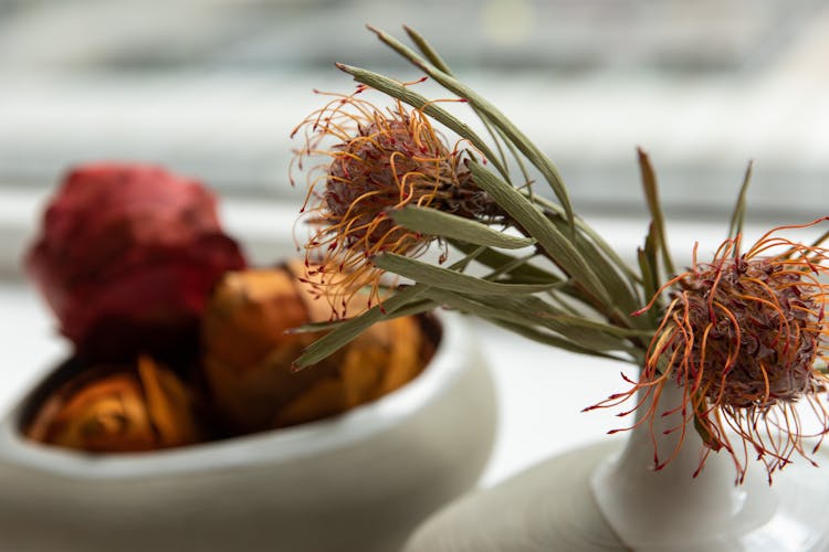 Close-up Photo Of Wilted Flowers