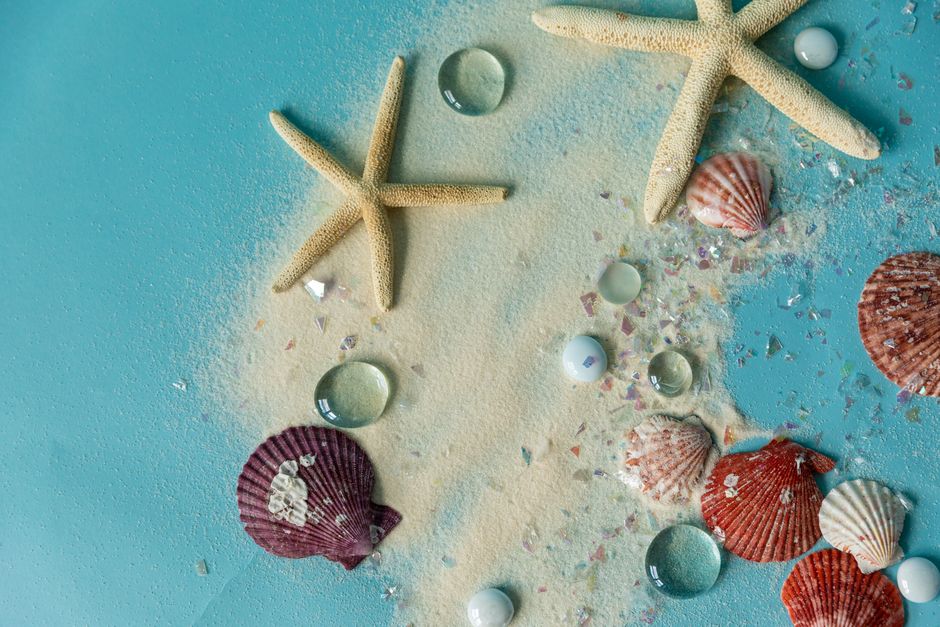 Aesthetic arrangement of seashells and starfish on a light blue sandy surface.