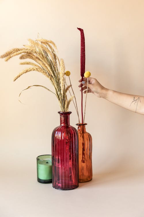 Person Holding a Flower in Orange Glass Vase Beside a Red Glass Vase with Dried Flowers