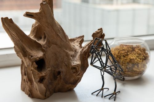 Free A stunning wire bird sculpture beside natural driftwood and lichen in a glass bowl on a windowsill. Stock Photo