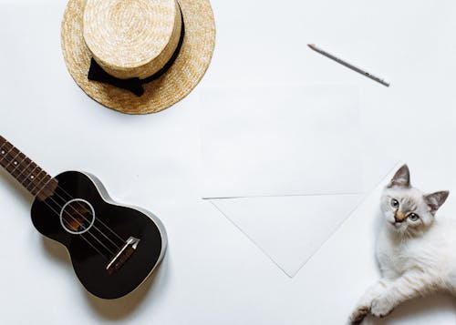 Sun Hat, a Guitar, a Colored Pencil, Pieces of Paper and a Kitten Lying on a White Surface