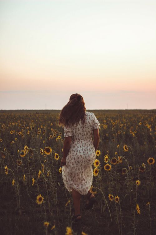 Free Peaceful scene of woman walking through a sunflower field during twilight, exuding tranquility. Stock Photo
