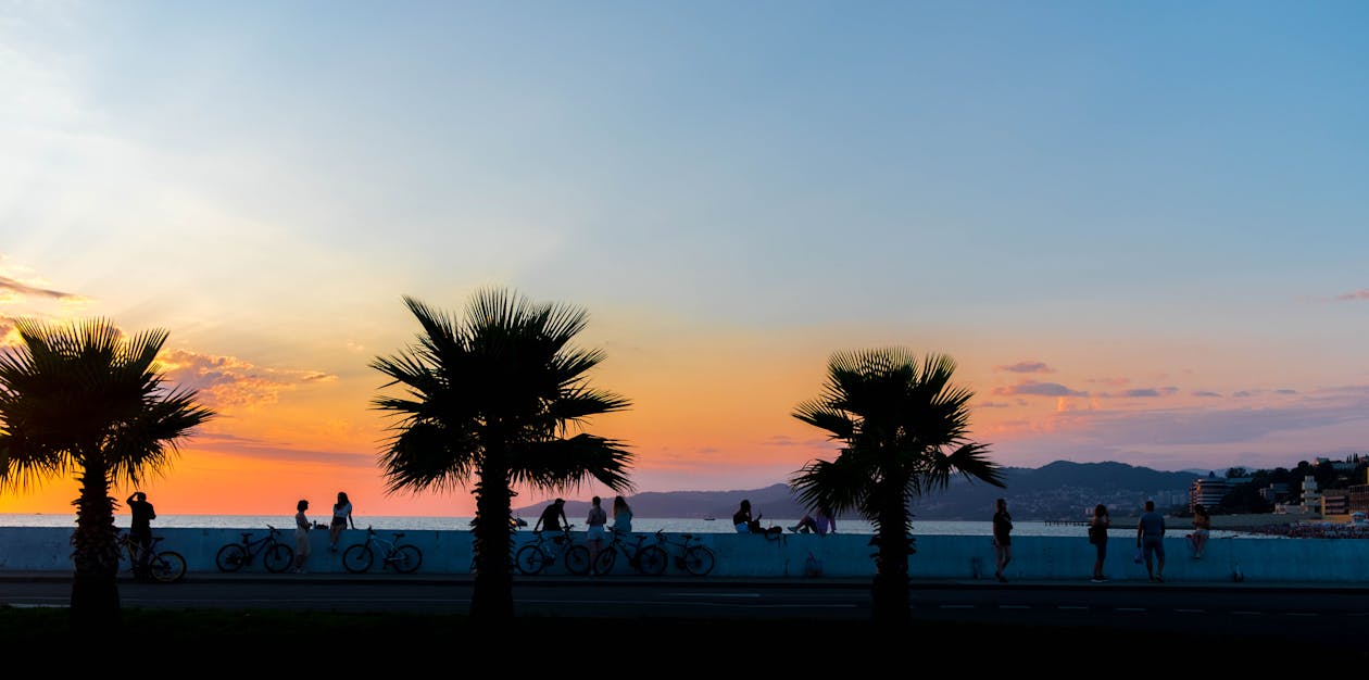 Free Palm Trees Near Body of Water during Sunset Stock Photo