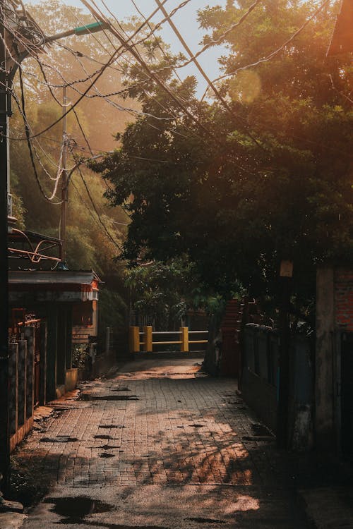 Gratis stockfoto met crisis-economisch, Indonesië, pandemisch