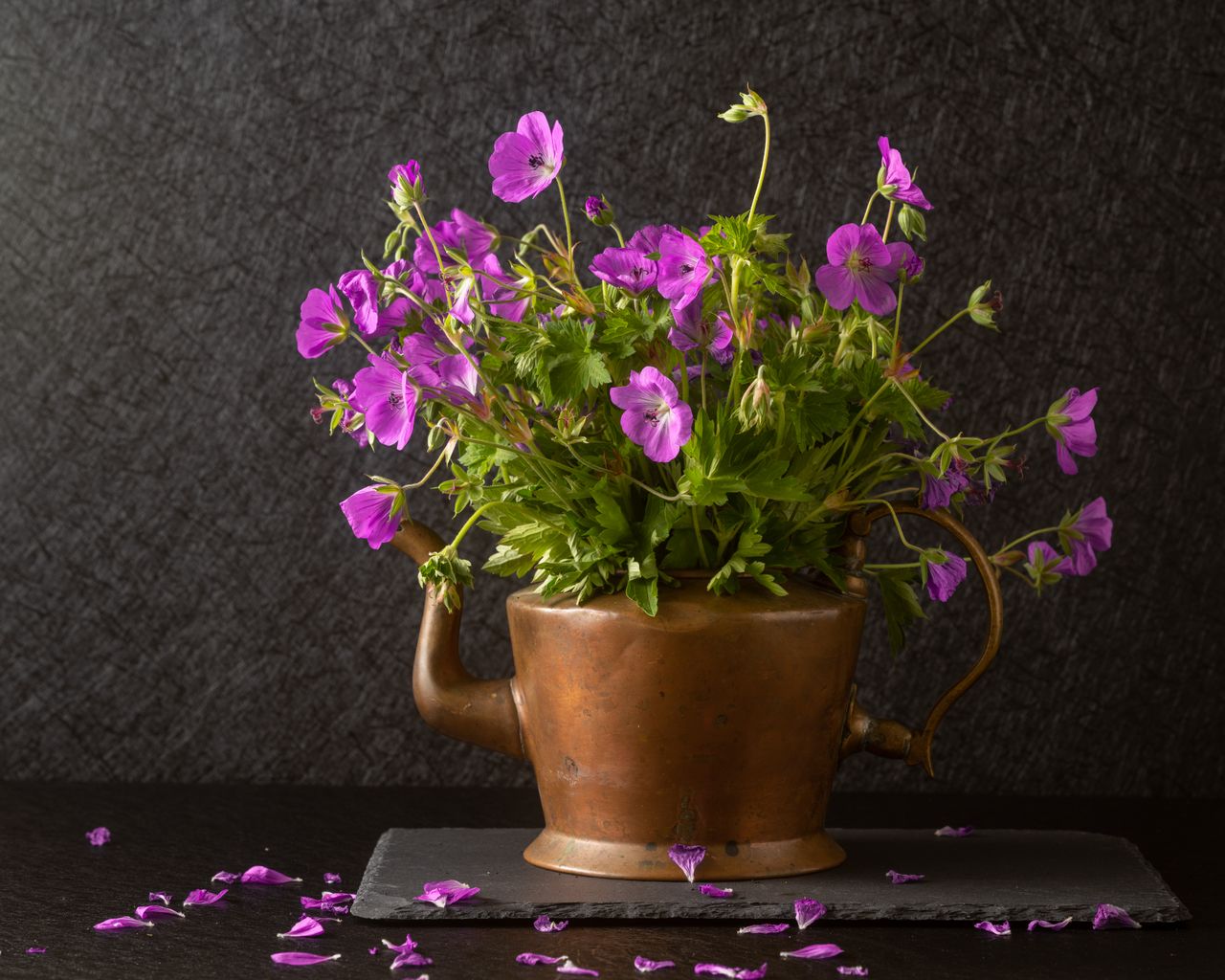 copper-pipe-edging Geraniums growing in a copper pot