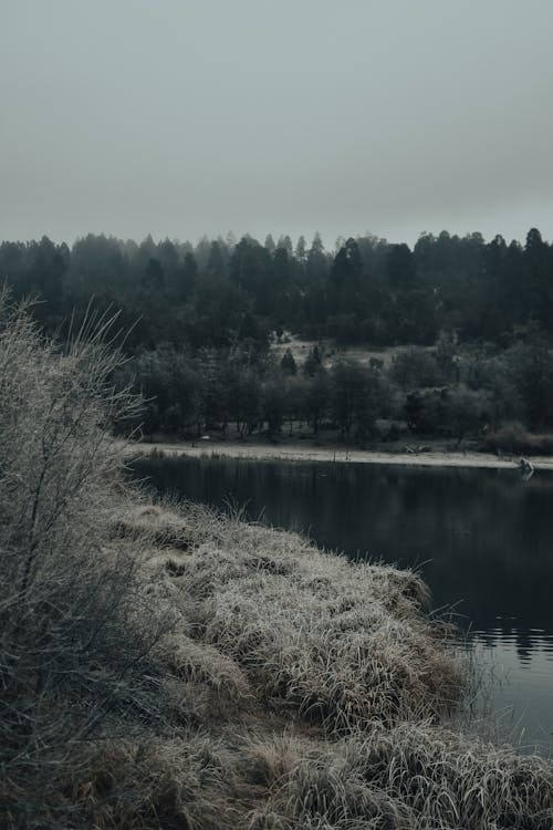 Kostnadsfri bild av dyster himmel, flod, gräs