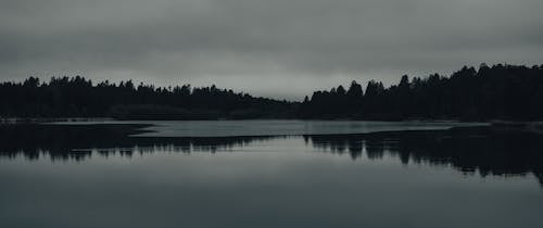 Body of Water Near Trees Under Cloudy Sky