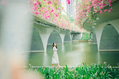 Δωρεάν στοκ φωτογραφιών με γέφυρα, γυναίκα, κήπος