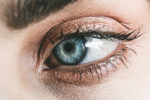 Free Person Blue Eyes Photography Stock Photo