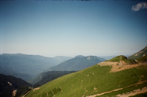 ağaçlar, alan, arazi içeren Ücretsiz stok fotoğraf