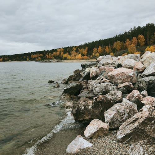 Kostenloses Stock Foto zu großer fluss, herbst, herbstfarbe