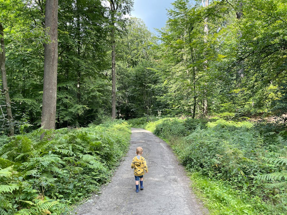 Boy in Yellow and Black Jacket Walking on a Concrete Pathway in the Forest