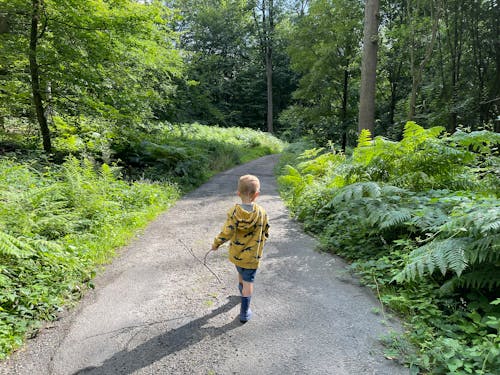 Boy in Yellow Jacket Walking in Forest Pathway