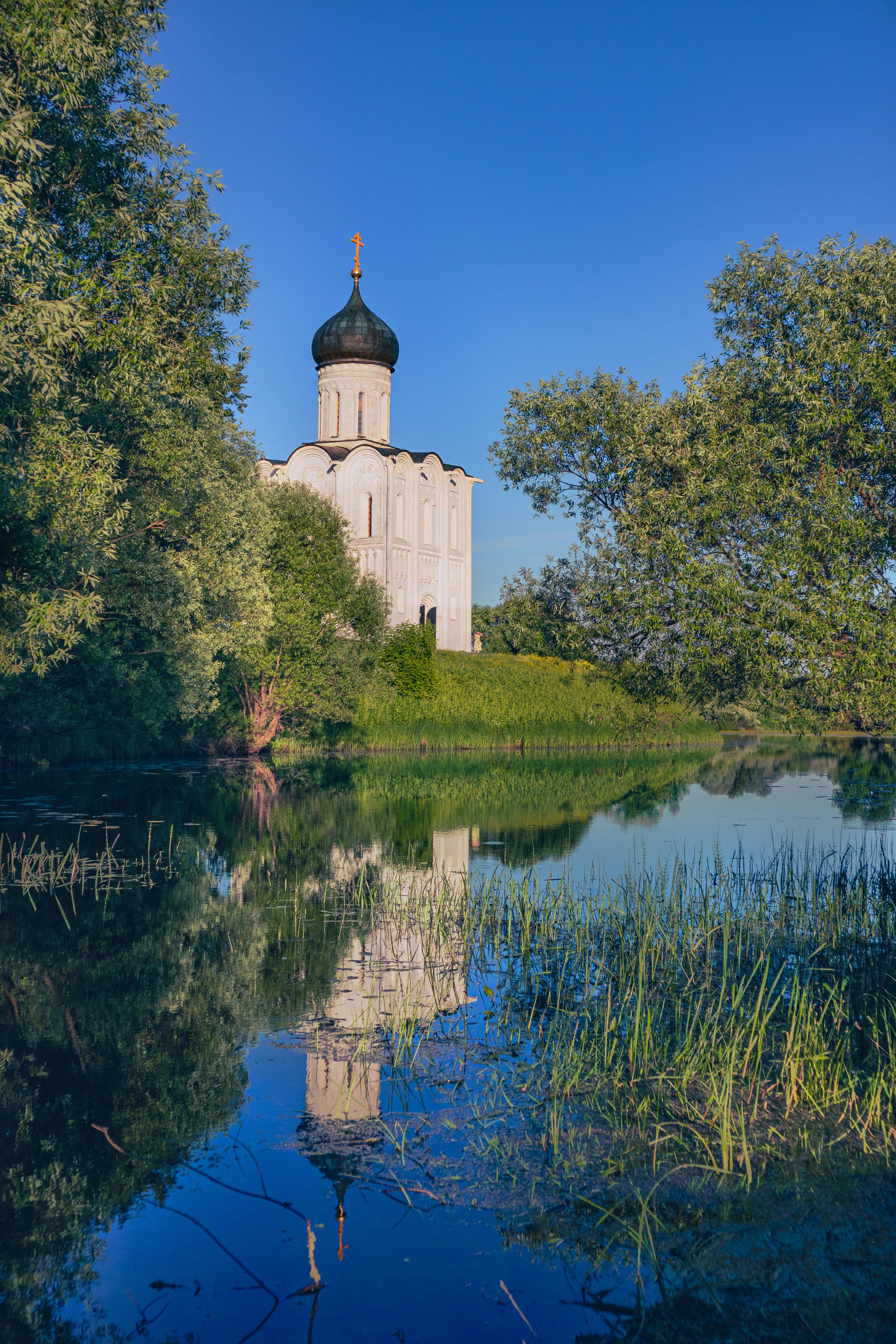 Adhesion Of Polymers (Vladimir Kestelman And Roman Veslovsky)