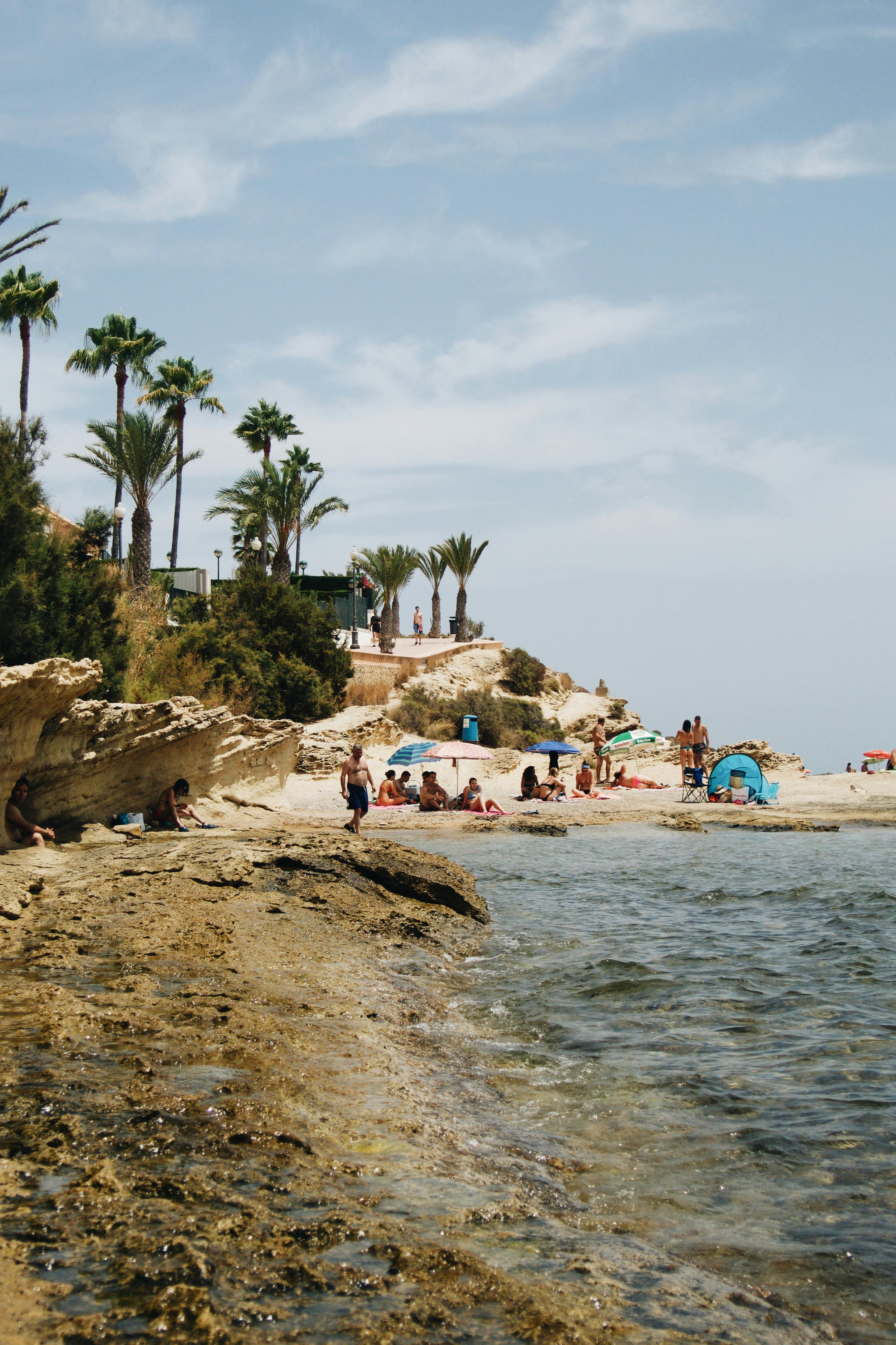 A vibrant beach scene with palm trees, rock formations, and people enjoying a sunny day.