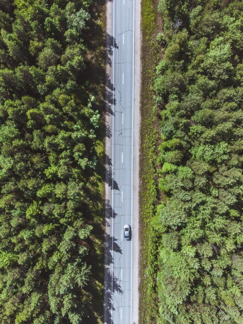 Imagine de stoc gratuită din automobil, copaci verzi, drum