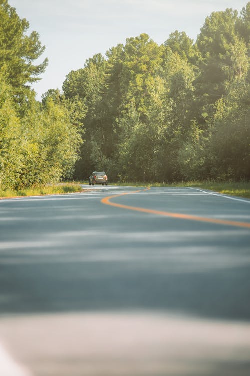 Imagine de stoc gratuită din arbori, automobil, autostradă