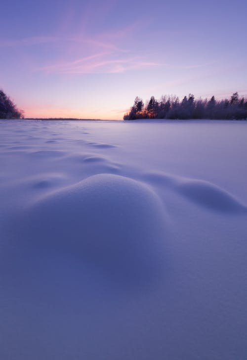 Photos gratuites de couvert de neige, givré, hiver