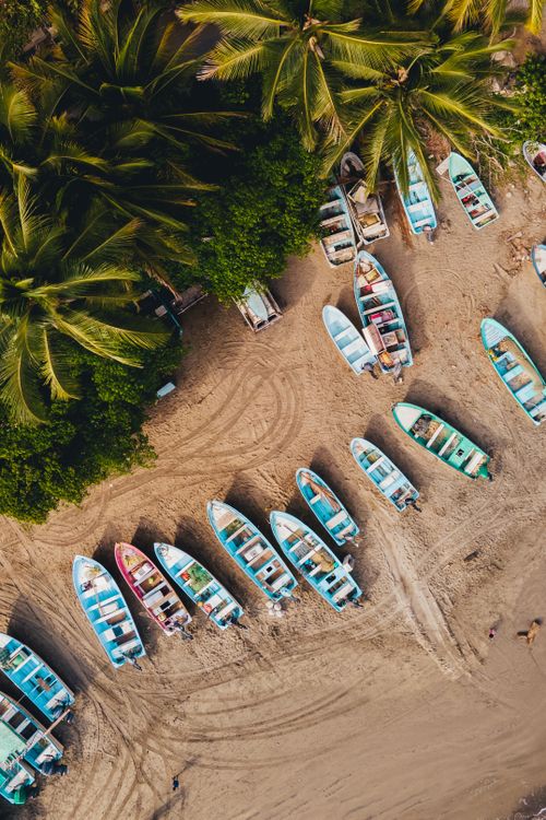 Free Aerial shot of colorful boats on a sandy beach lined with lush palm trees. Stock Photo