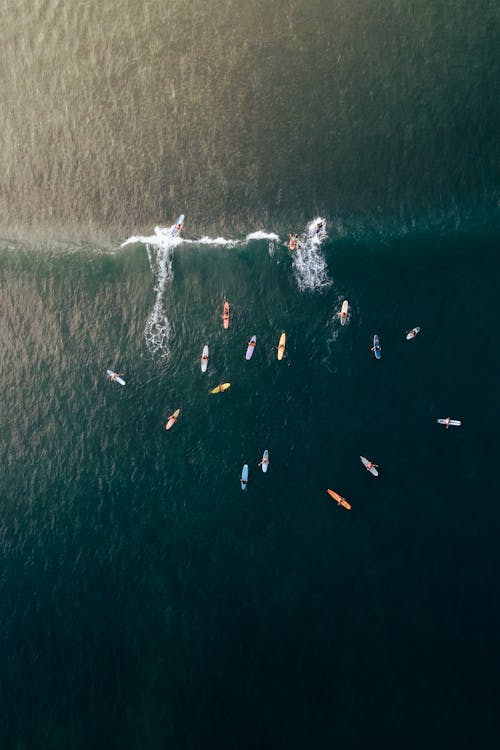 Aerial View of People Surfing in the Sea