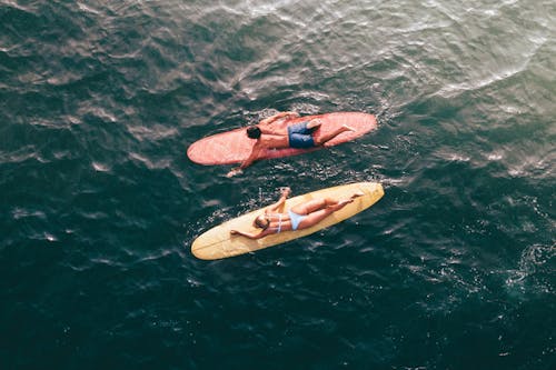 Aerial Shot of Surfers on the Sea