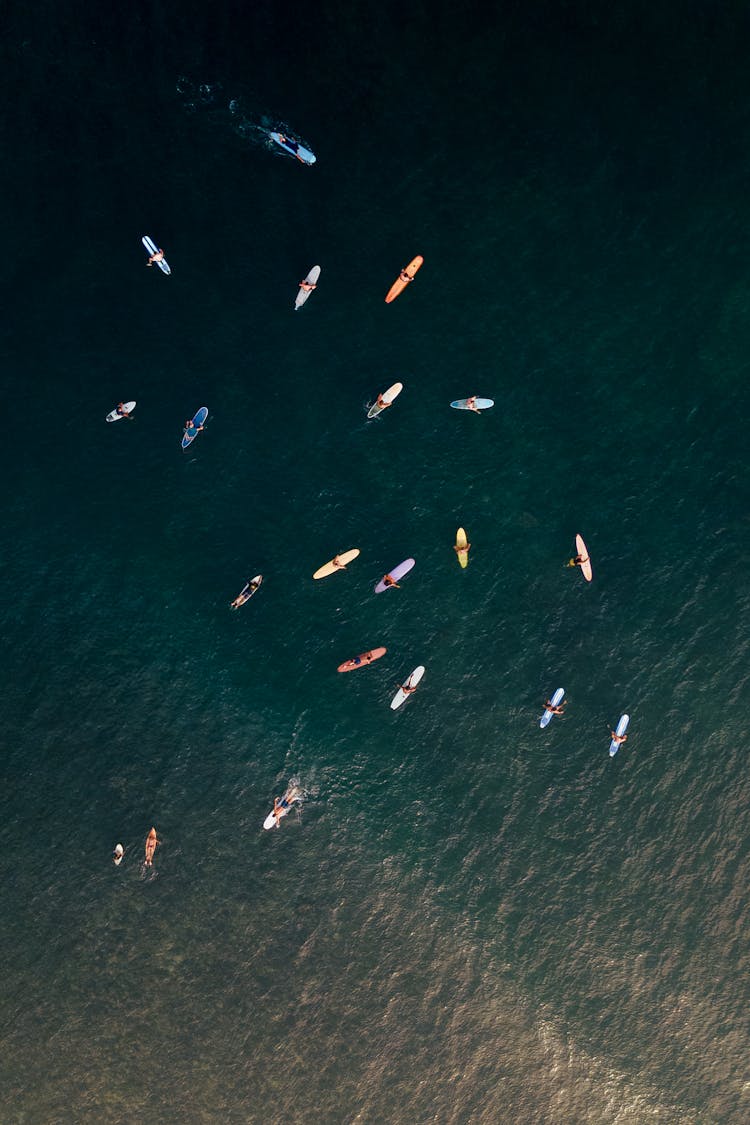 People Surfing On The Sea