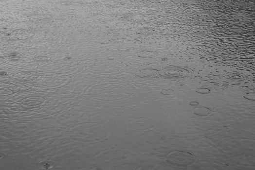Raindrops create ripples on a calm water surface, evoking a serene and reflective mood.
