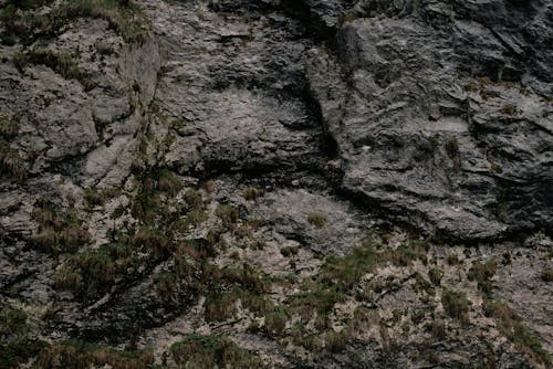 A Rocky and Mossy Surface